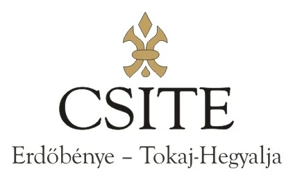 CSITE Winery logo
